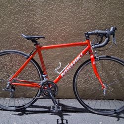 Nishik! Race Bike