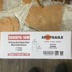 16 Gauge Gálvez Chisel Point Wide Crown Staples