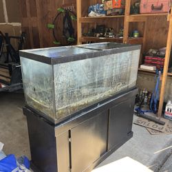 75 Gallon Fish Tank