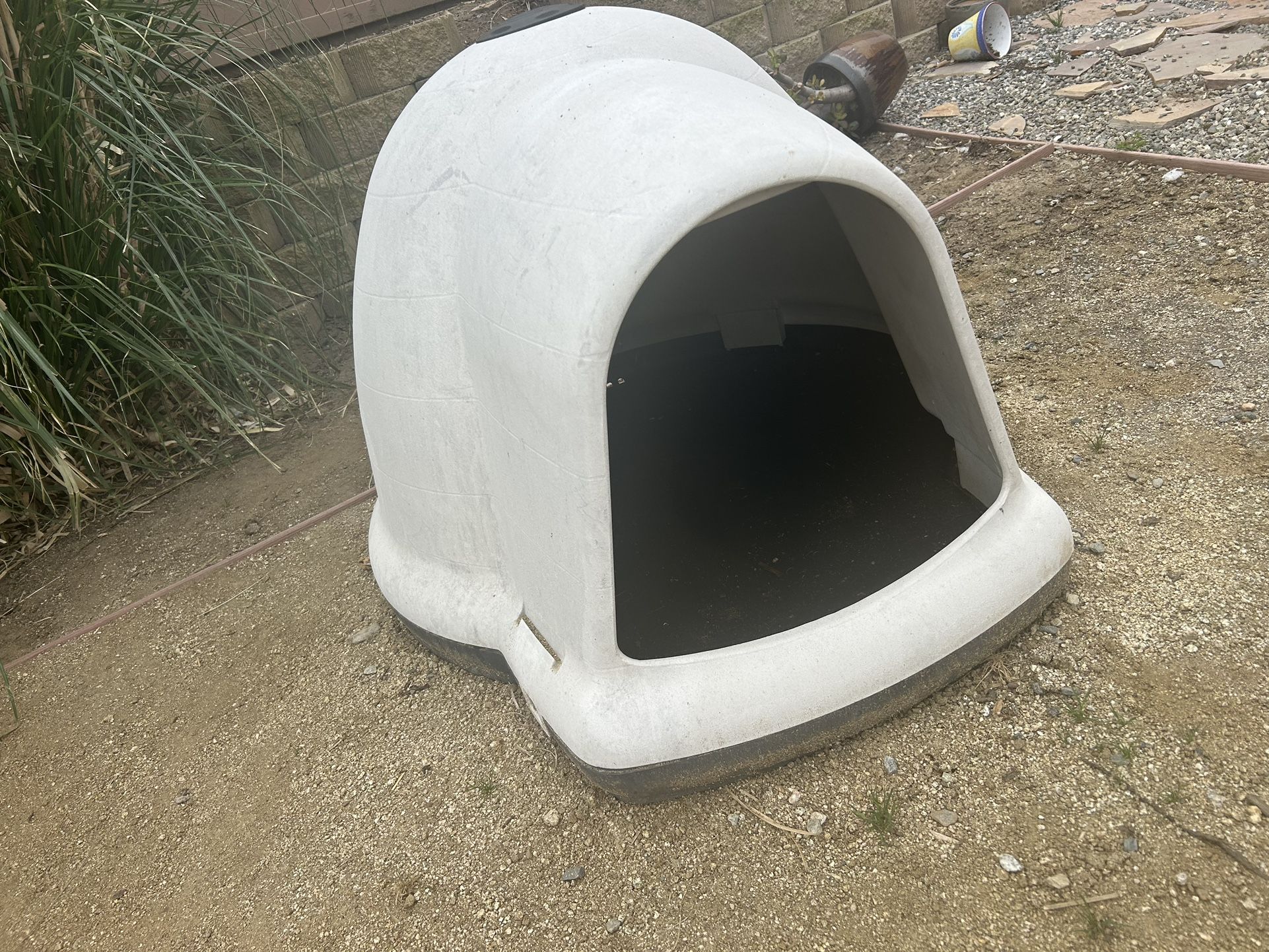 Xl  Igloo Dog house