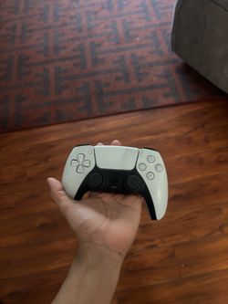 Pa5 controller white