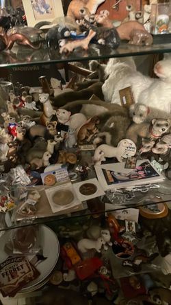 Ferret collection and curio