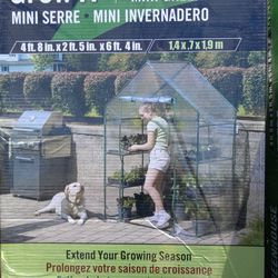 Mini Greenhouse 
