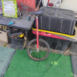 Unicycle