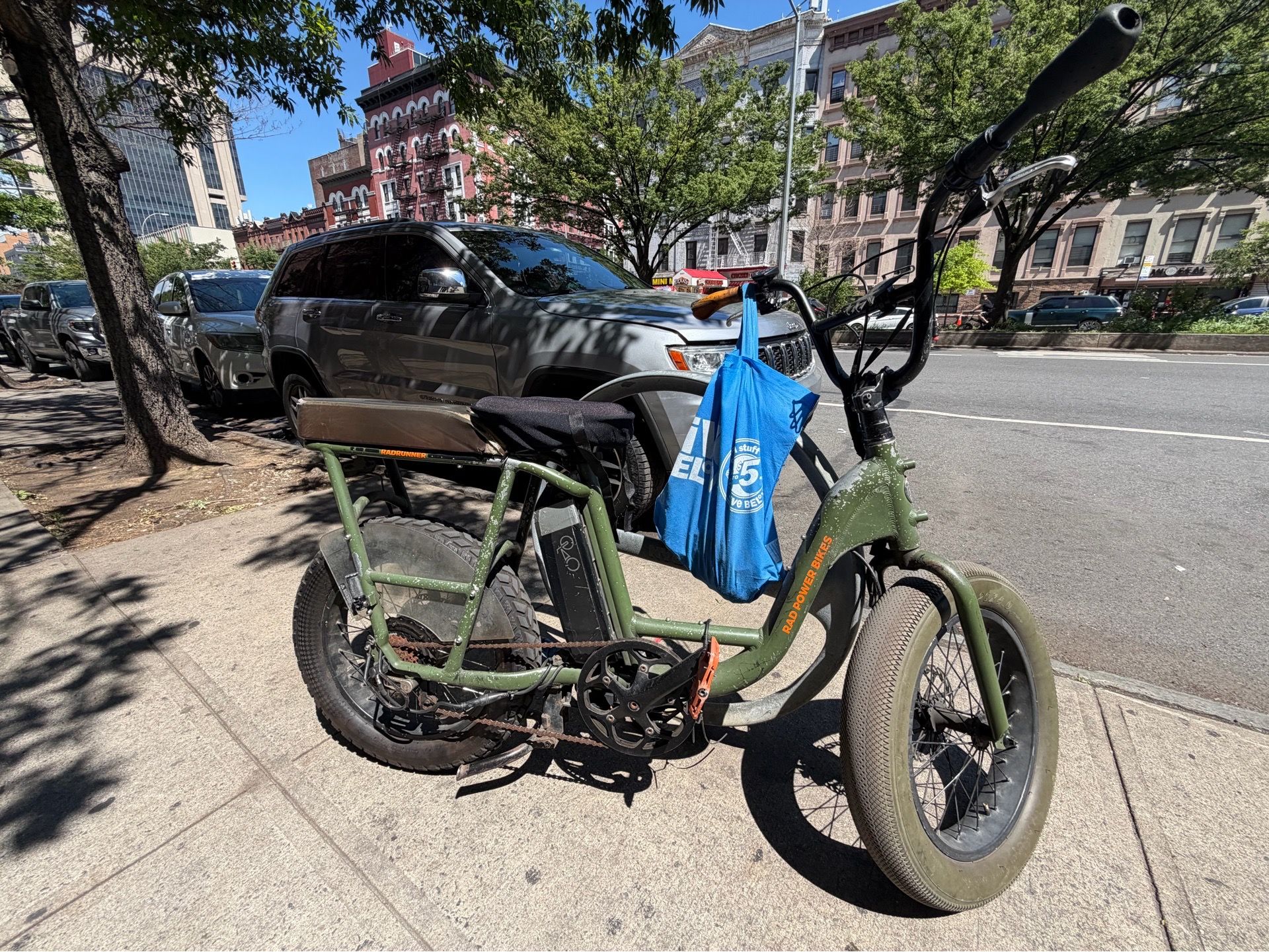 Electric Bike (RadRunner 2)