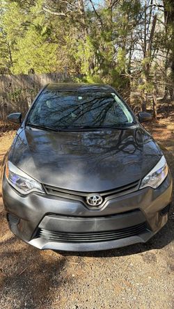 Toyota Corolla Sedan Gray