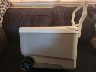 Brand New Igloo Cooler