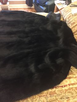 Full length Argentine fur
