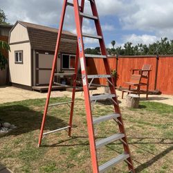 10 Ft. Werner Ladder