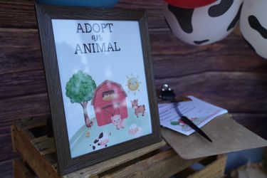 Barn Party/Farm Party/Western Party/1st Birthday