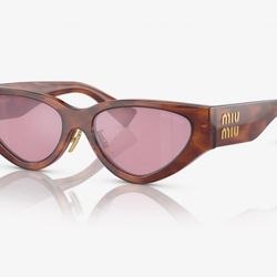 Miu Miu Striped Tobacco/Bordeaux Lens — New