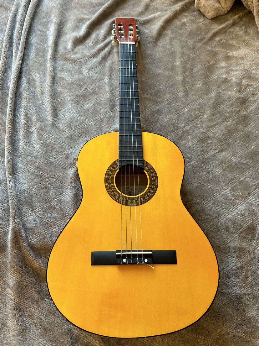 Lucida Guitar