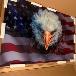 New American Eagle Frame OBO