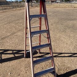 Werner Ladder 6ft $55