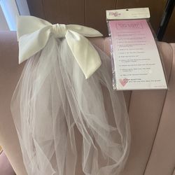 Bridal Shower Or Wedding Veil with Bow And Bridal Quiz