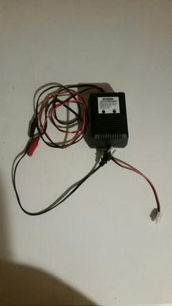 Tower Hobby quick charger.