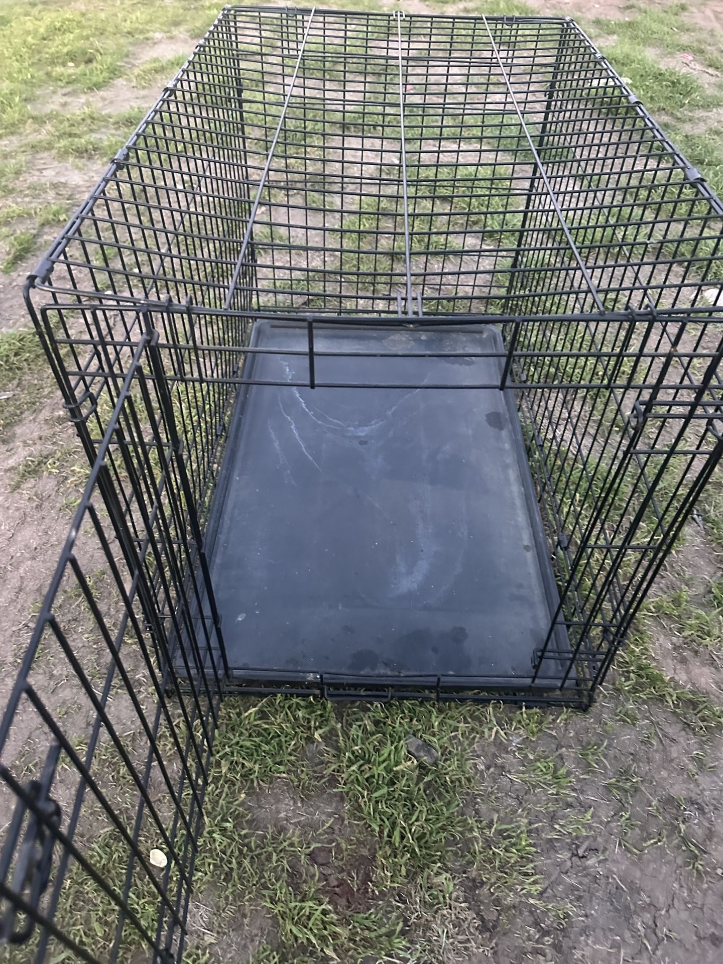 Dog Cage