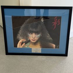 Rare Steely Dan Aja Gift Japanese Poster Art ABC Records For Going Platinum Girl