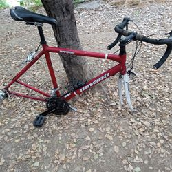 Novara road bike, large frame