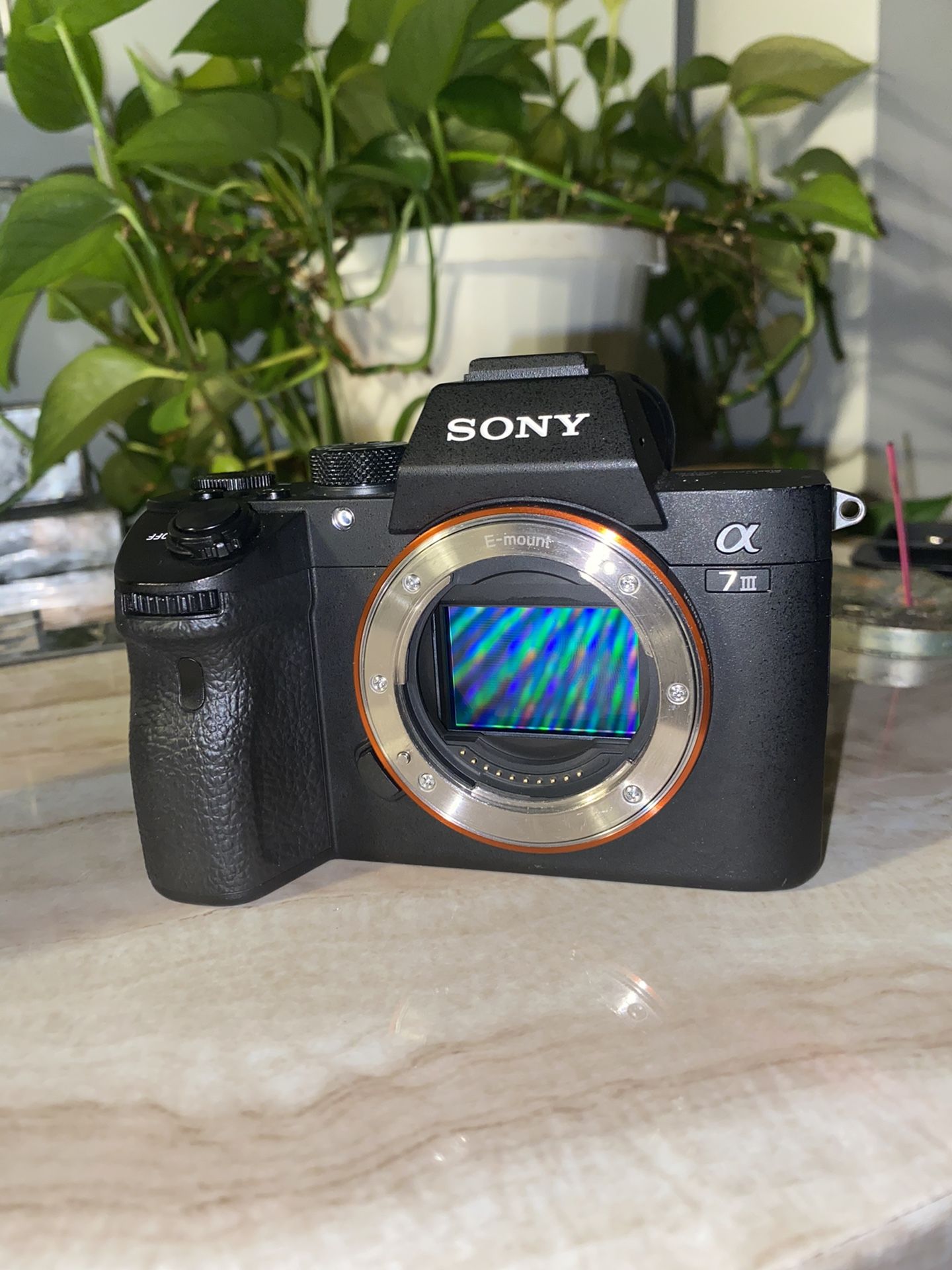 Sony A7iii & Tamron 28-75mm F/2.8 BUNDLE