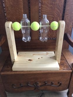 Bottle spin dog puzzle