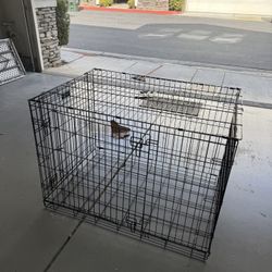 Dog Crate