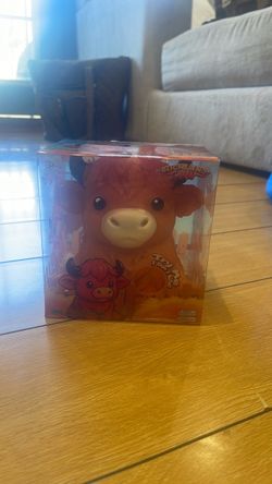 Highland Cow