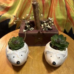 Knit Knats And Home Decor