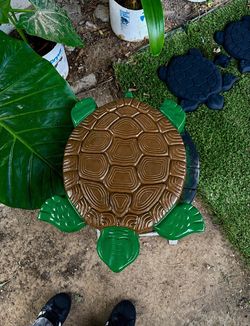 Turtle stepping stone