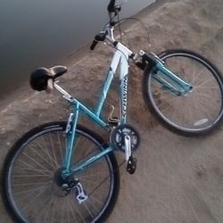Trail Bike 