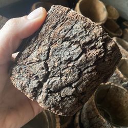Tree Bark Candle Holders 