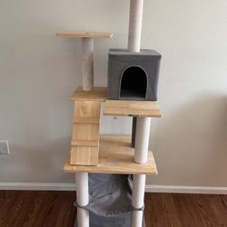 Cat Climbing And Scratching Tree