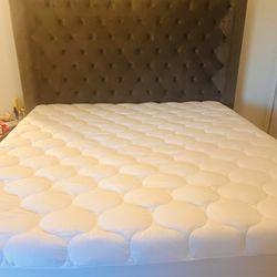 Platform King Size Bed With Box Springs 