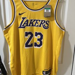 Brand New LeBron James Jersey (swingsmen)