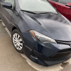 2019 Dark Blue Toyota Corolla Le