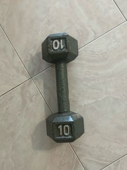 Single 10lb Barbell