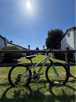 Nishiki mountain bike 24”