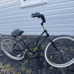 Vintage Shchinn Cruiser 