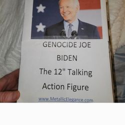 12" Talking Joe Biden Action Figure