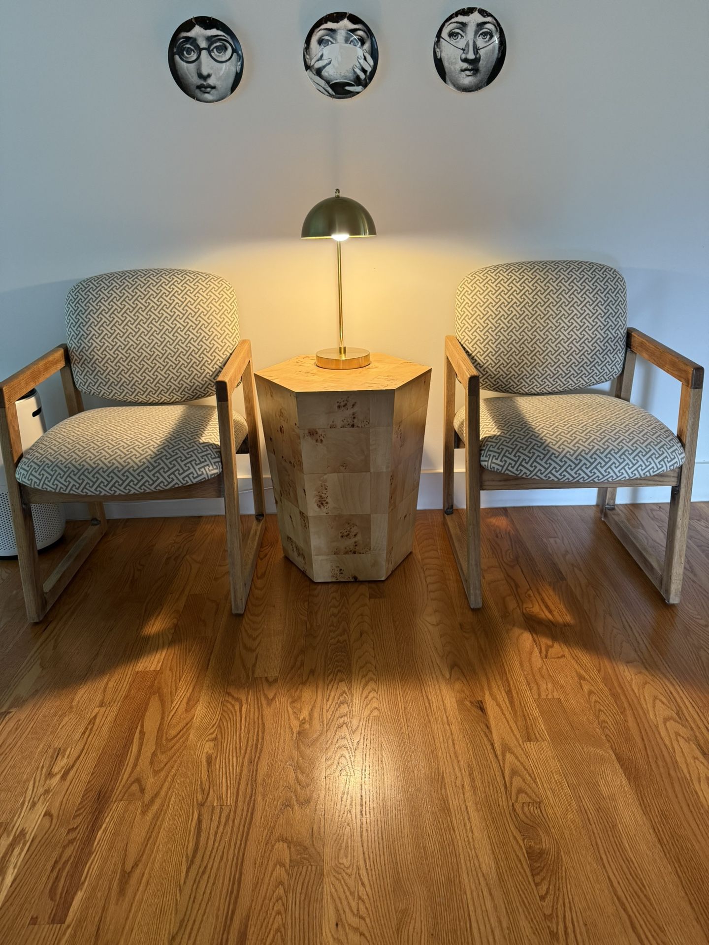 Upholstered Accent chairs
