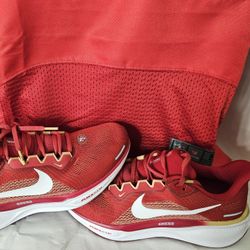 San Francisco 49ers Pegasus Nike Air Zoom 