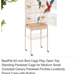 Bird Cage 