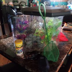 Fish Tank And Accessories 