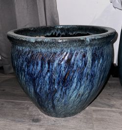 Pot