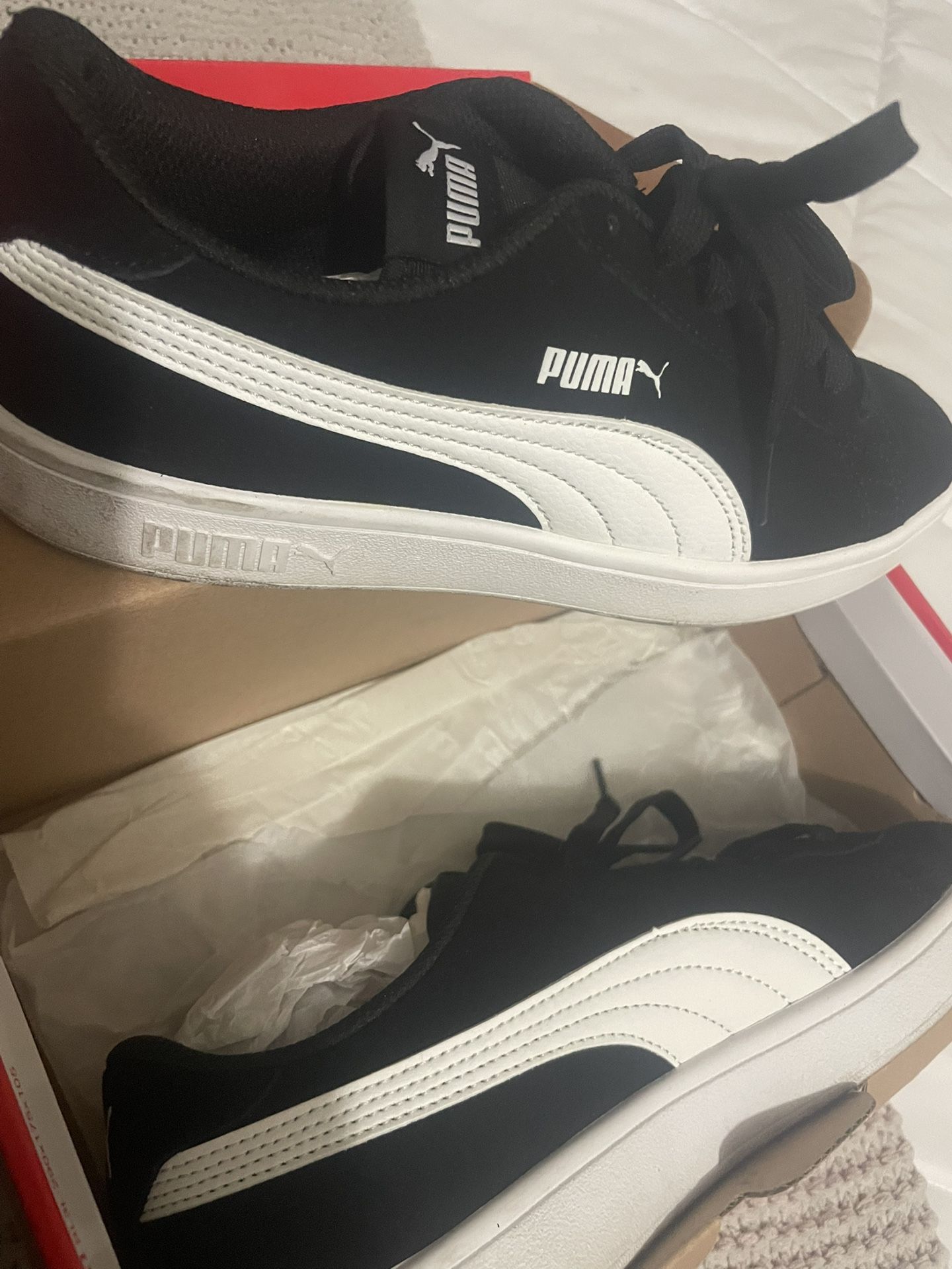 Black Puma 6.5y