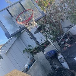   Basketball Hoop