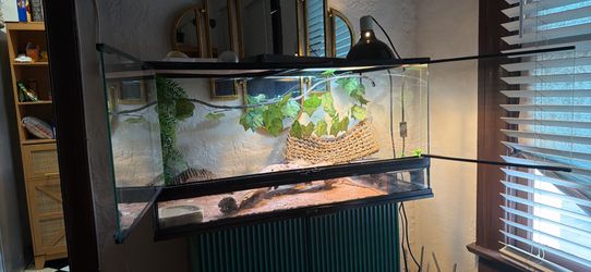 Reptile tank