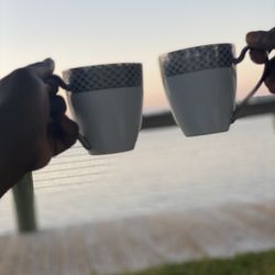 Organic Fresh & Dried Soursop Leaves For Amazing Health Benefits