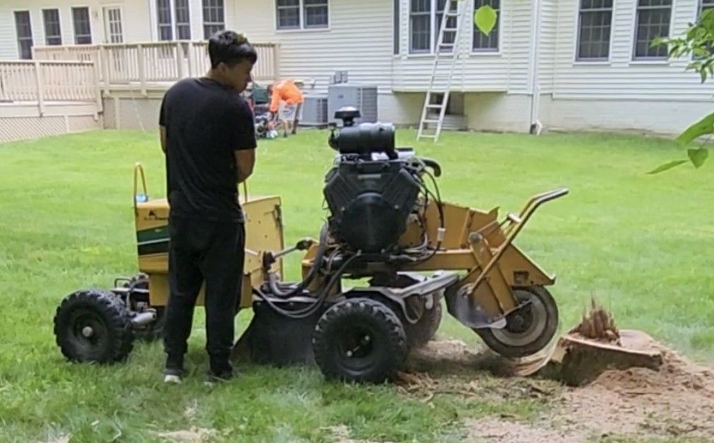 Stump Grinding