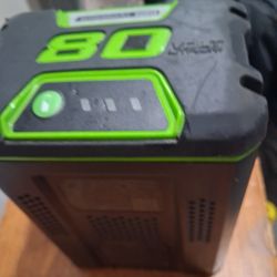 Greenworks Pro 80V Battery Charger